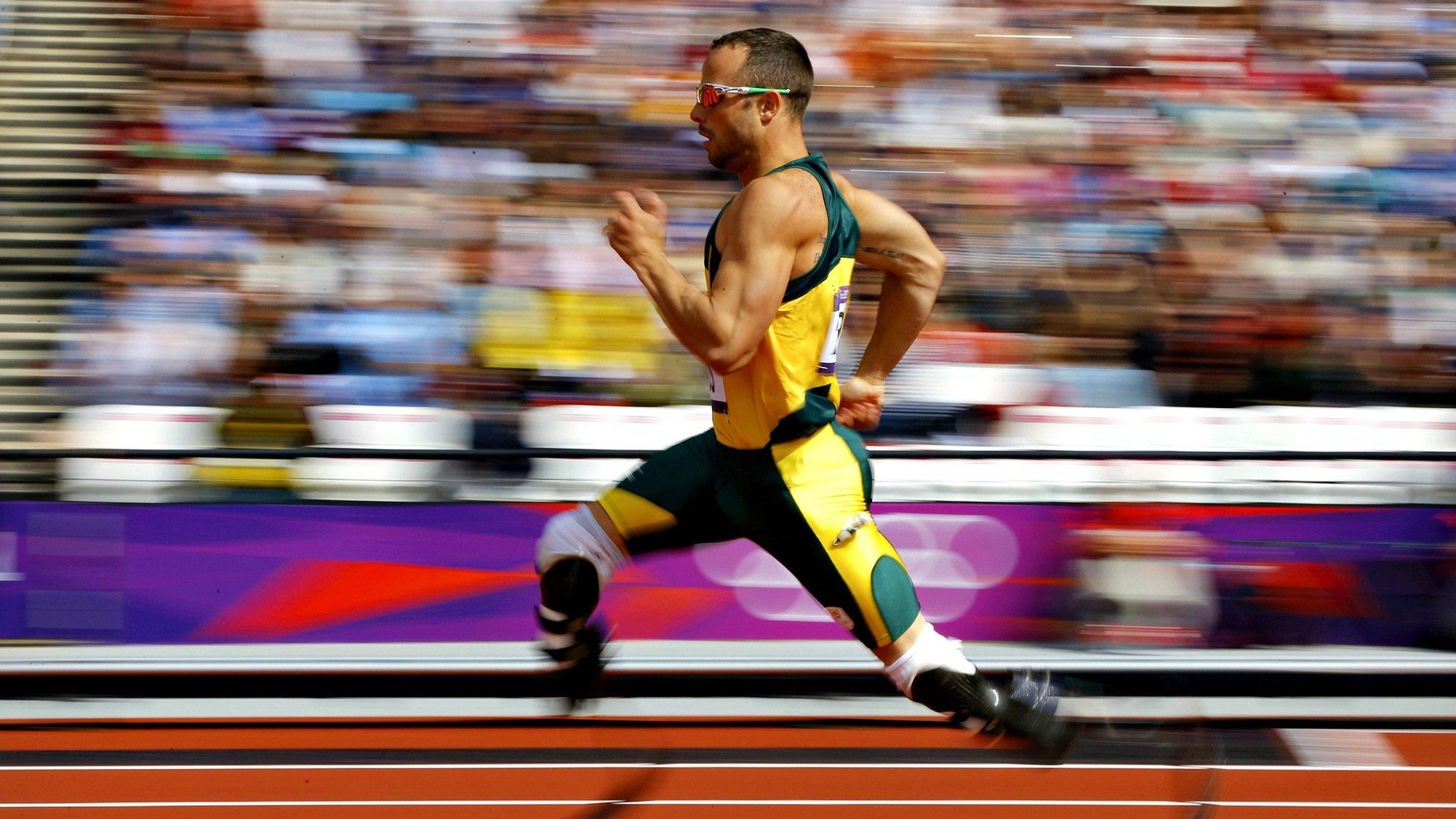 南非羚羊队的团队协作:进攻与防守配合默契,为胜利奠定基础,南非羚羊皮皮衣特点